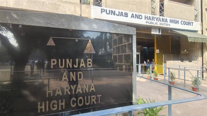 punjab and haryana high court